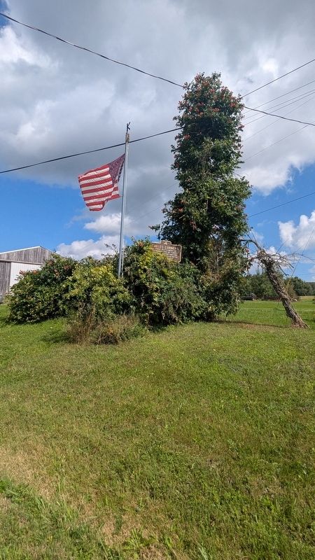 Sayles Corners Marker as it looks from the road covered by vines. Click for full size. Sayles Corners Marker as it looks from the road covered by vines image. Click for full size.