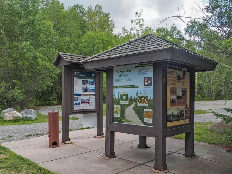 Fire in the Big Bog Marker (right) on the kiosks at the bog boardwalk parking lot. Click for full size. Fire in the Big Bog Marker (right) on the kiosks at the bog boardwalk parking lot image. Click for full size.