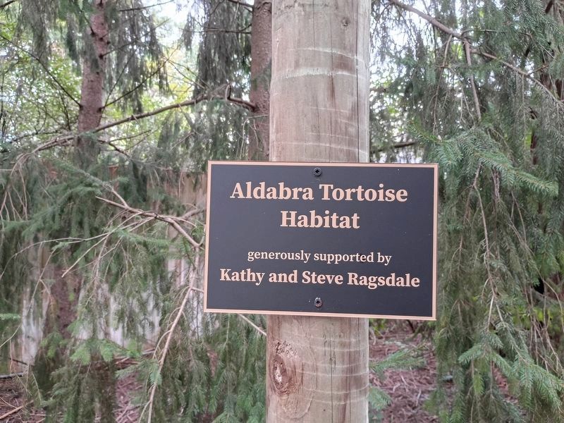 Aldabra Giant Tortoise Marker. Click for full size. Aldabra Giant Tortoise Marker image. Click for full size.