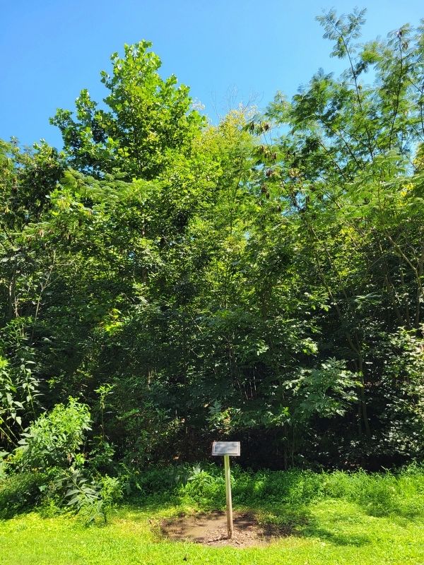 City of Eden - Smith River Greenway Marker. Click for full size. City of Eden - Smith River Greenway Marker image. Click for full size.