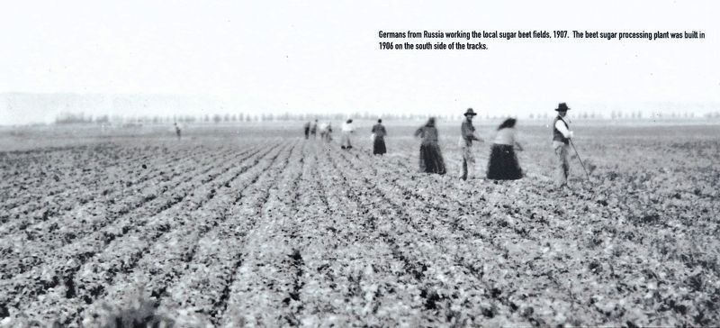 Marker detail: Germans from Russia working the local sugar beet fields, 1907 image. Click for full size.