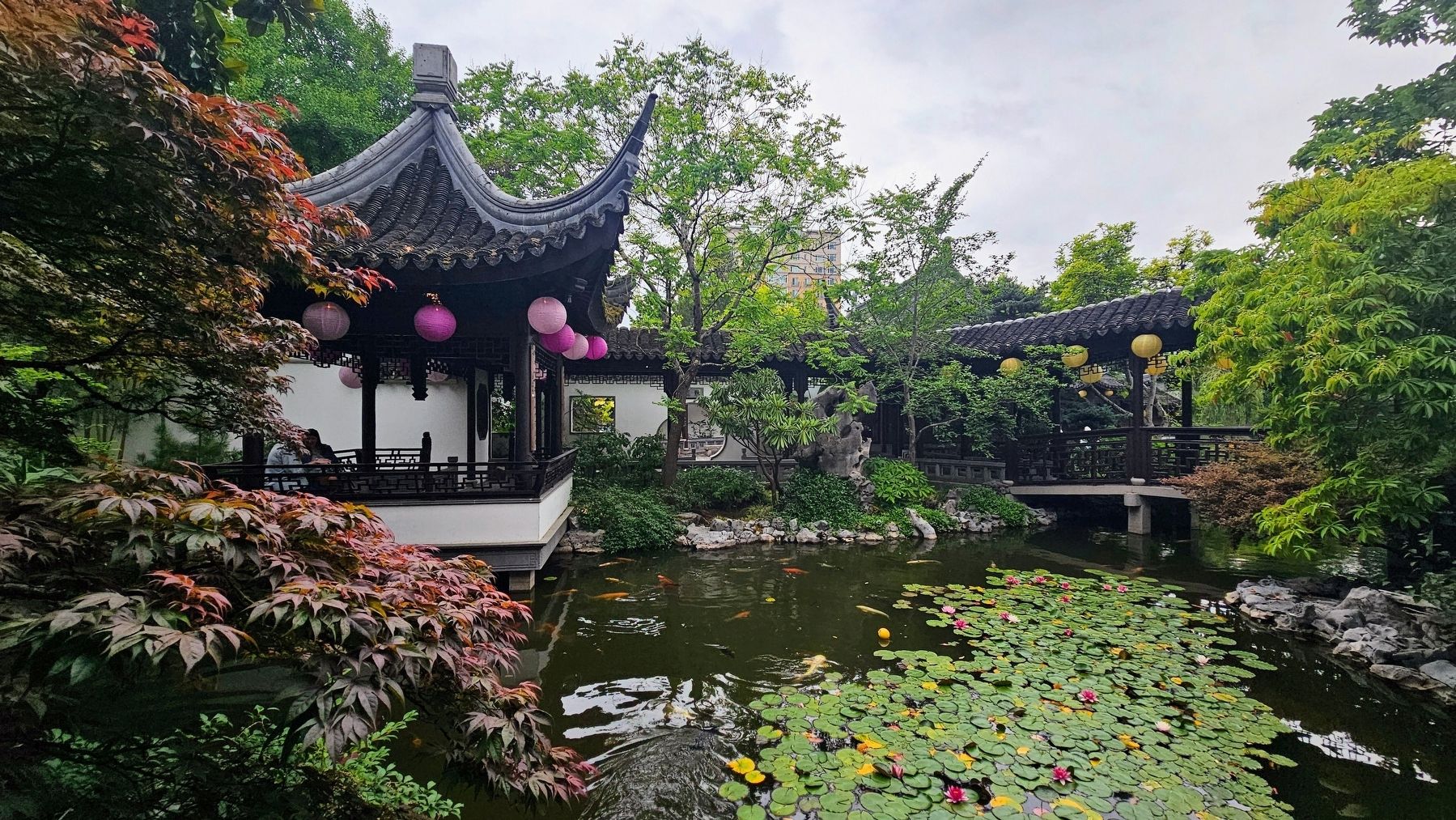 Lan Su Chinese Garden. Click for full size. Lan Su Chinese Garden image. Click for full size.