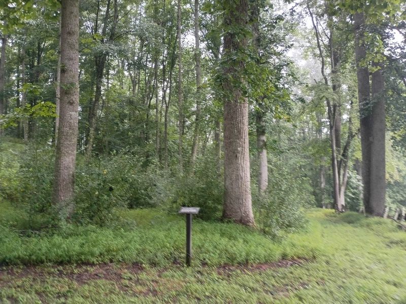 Trenches for Union Pickets Marker. Click for full size. Trenches for Union Pickets Marker image. Click for full size.