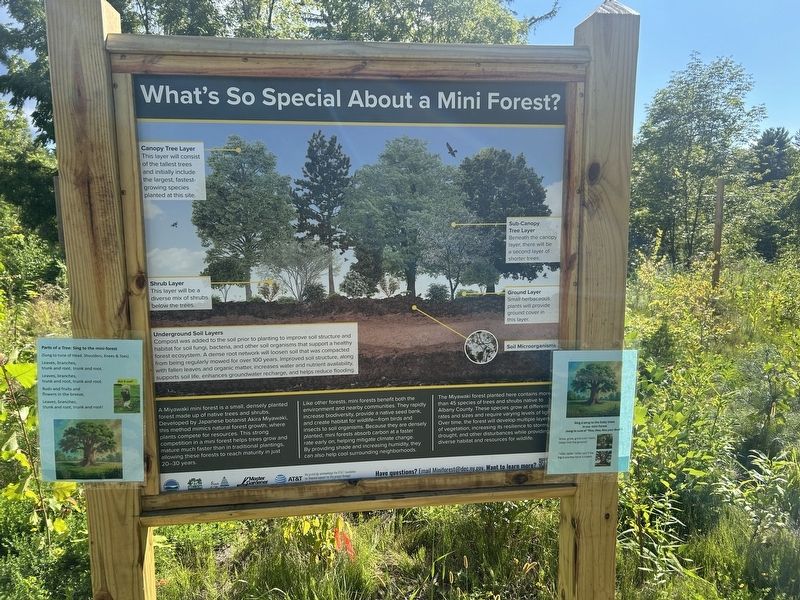 The Five Rivers Mini Forest Marker. Click for full size. The Five Rivers Mini Forest Marker image. Click for full size.