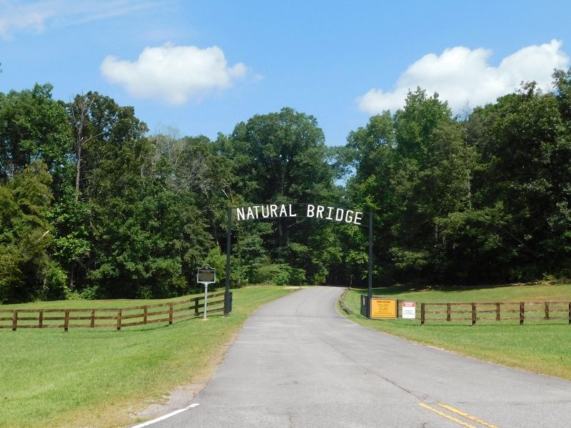 Natural Bridge Park Marker. Click for full size. Natural Bridge Park Marker image. Click for full size.