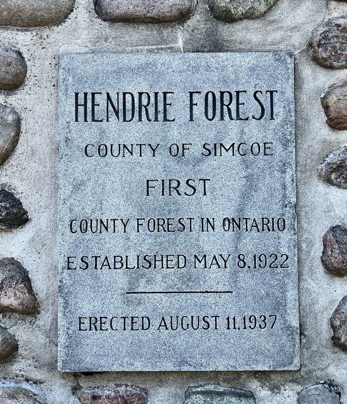 Hendrie Forest Marker. Click for full size. Hendrie Forest Marker image. Click for full size.