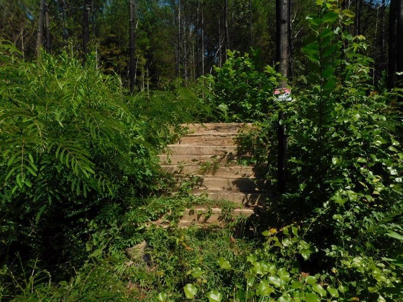 St. John Elementary School Steps. Click for full size. St. John Elementary School Steps image. Click for full size.