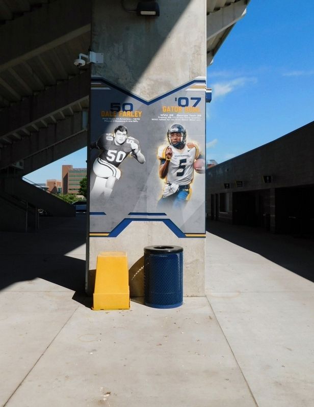 Dale Farley / Gator Bowl Marker. Click for full size. Dale Farley / Gator Bowl Marker image. Click for full size.