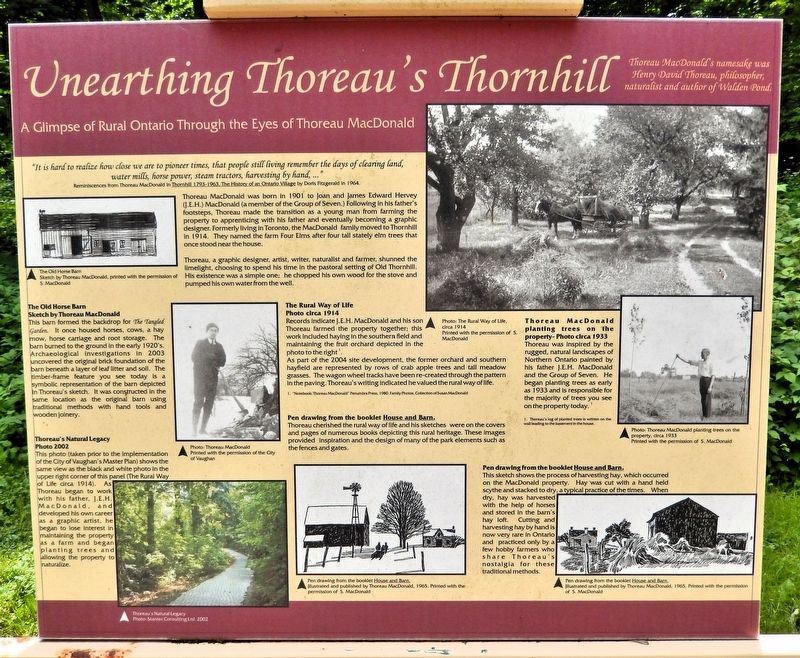 Unearthing Thoreau's Thornhill Marker. Click for full size. Unearthing Thoreau's Thornhill Marker image. Click for full size.
