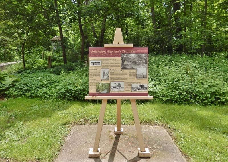 Unearthing Thoreau's Thornhill Marker. Click for full size. Unearthing Thoreau's Thornhill Marker image. Click for full size.