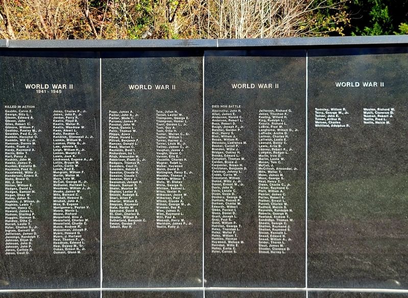 Danville-Pittsylvania County Veterans Memorial image. Click for full size.