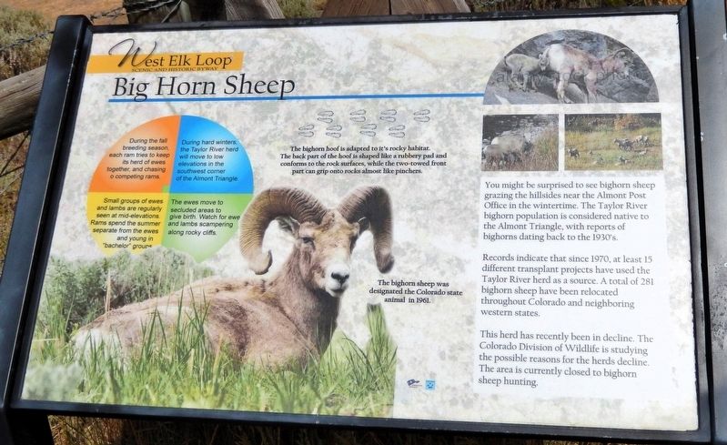 Big Horn Sheep Marker. Click for full size. Big Horn Sheep Marker image. Click for full size.