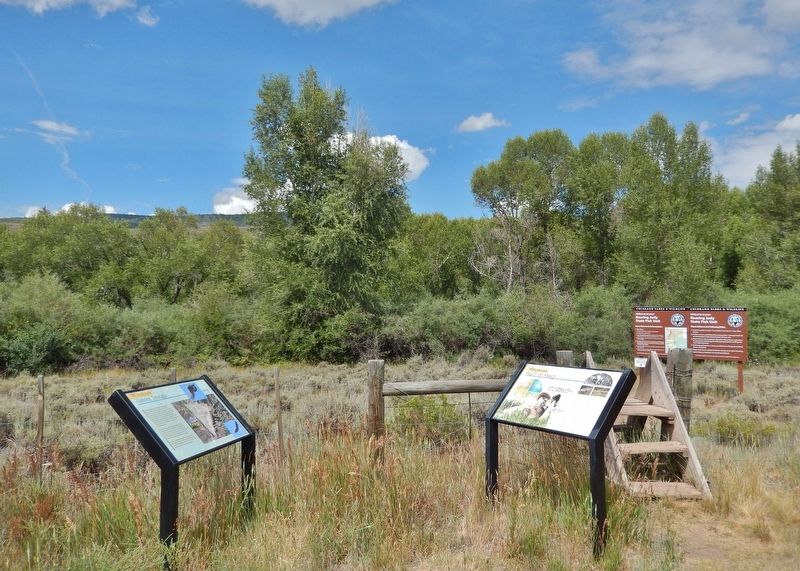 Big Horn Sheep Marker. Click for full size. Big Horn Sheep Marker image. Click for full size.