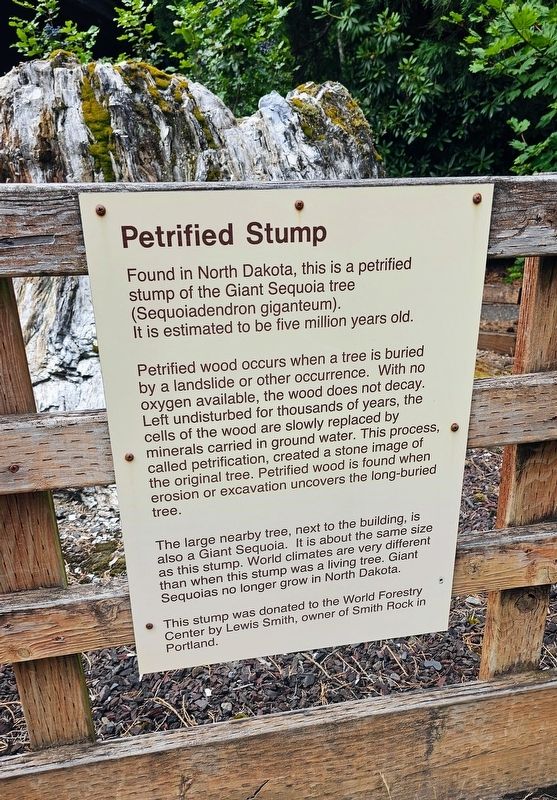Petrified Stump Marker. Click for full size. Petrified Stump Marker image. Click for full size.