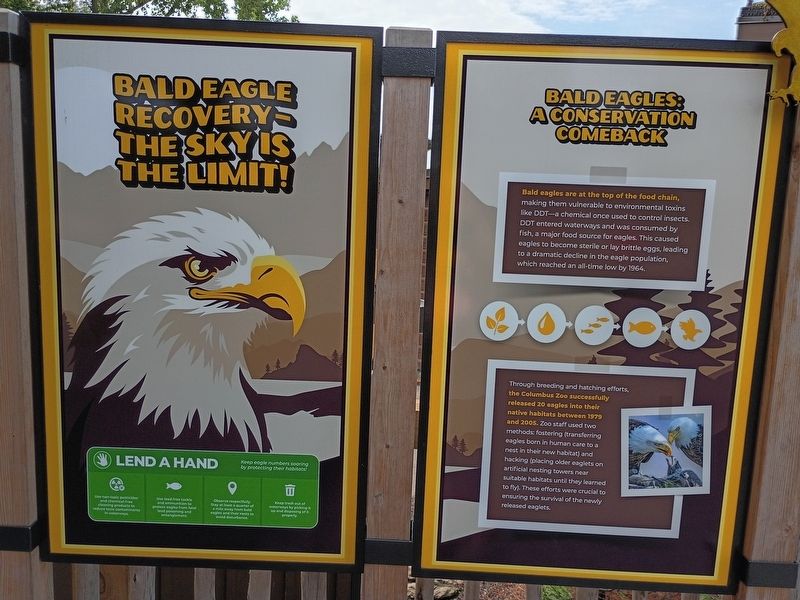 Bald Eagles: A Conservation Comeback Marker image. Click for full size.