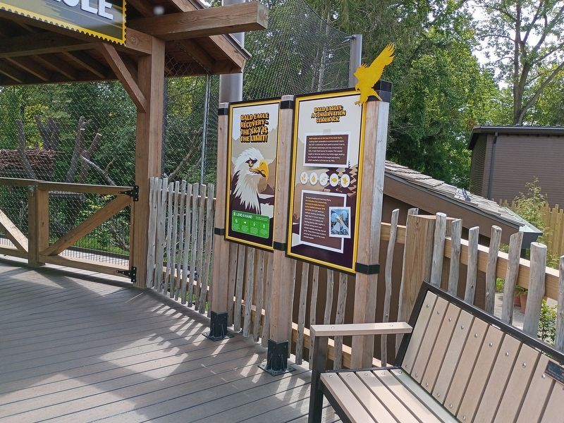 Bald Eagles: A Conservation Comeback Marker image. Click for full size.
