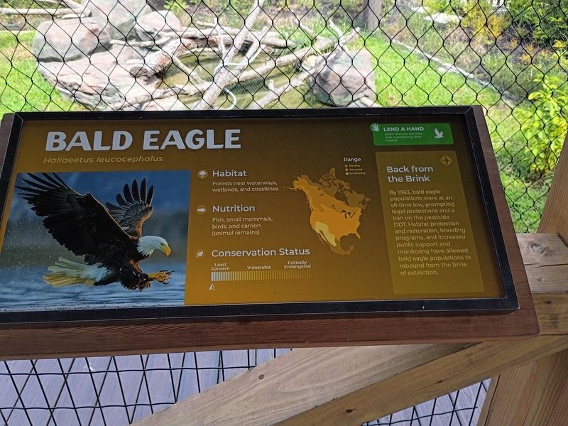Bald Eagle Marker image. Click for full size.