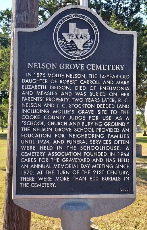 Nelson Grove Cemetery Marker image. Click for full size.