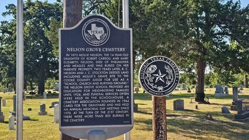 Nelson Grove Cemetery Marker image. Click for full size.