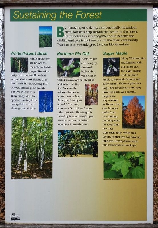 Adjacent natural history marker. Click for full size. Adjacent natural history marker image. Click for full size.