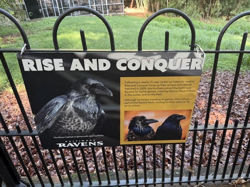 Rise and Conquer Marker. Click for full size. Rise and Conquer Marker image. Click for full size.