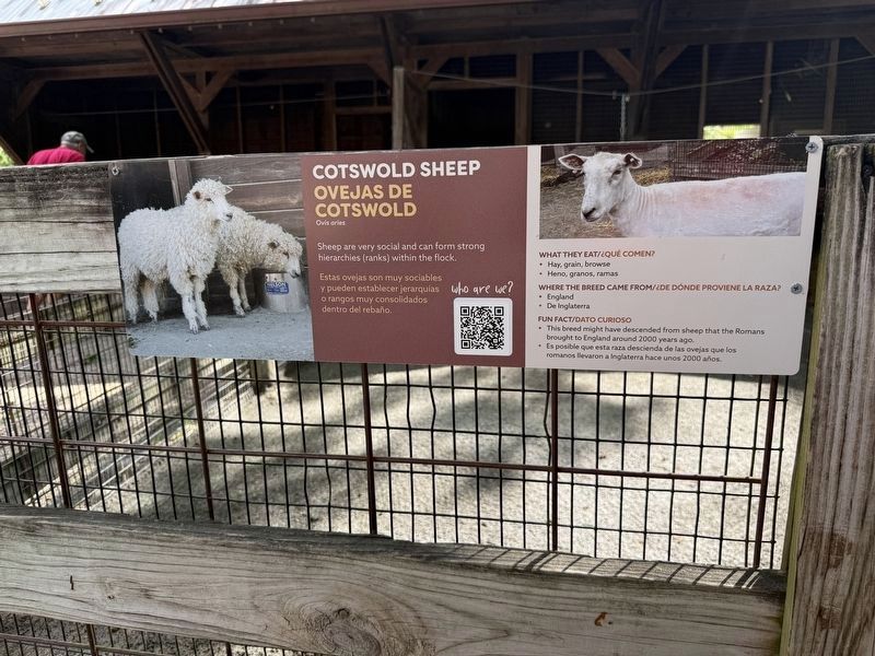 Cotswold Sheep Marker. Click for full size. Cotswold Sheep Marker image. Click for full size.