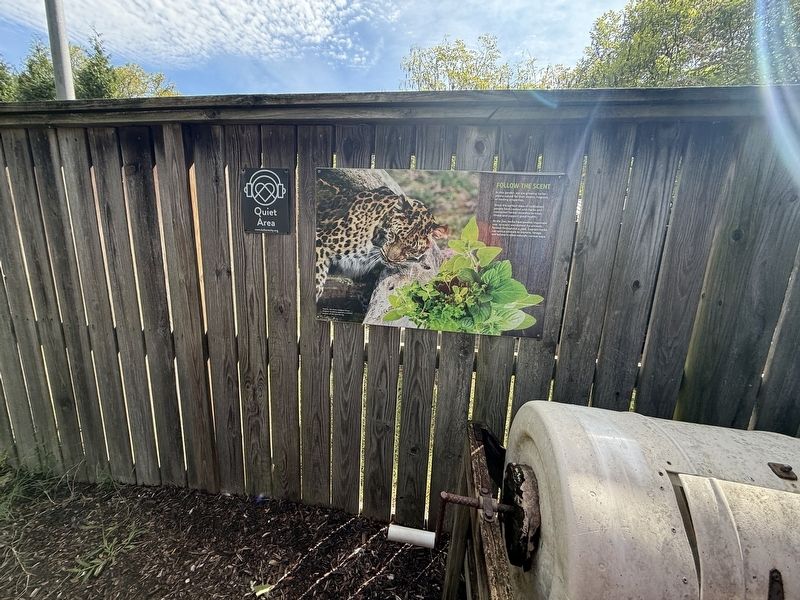 Follow the Scent Marker. Click for full size. Follow the Scent Marker image. Click for full size.