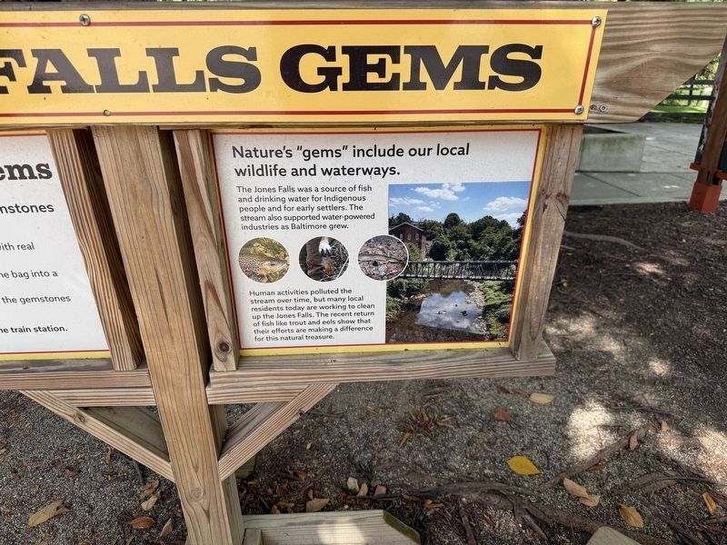 Nature's "gems" include our local wildlife and waterways. Marker. Click for full size. Nature's "gems" include our local wildlife and waterways. Marker image. Click for full size.