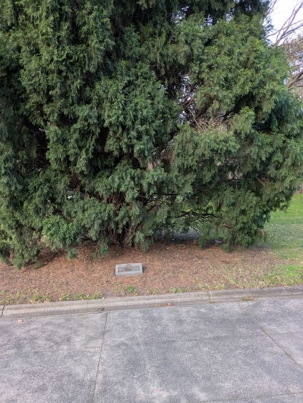 Australian Light Horse Engineers Marker at the Tree. Click for full size. Australian Light Horse Engineers Marker at the Tree image. Click for full size.
