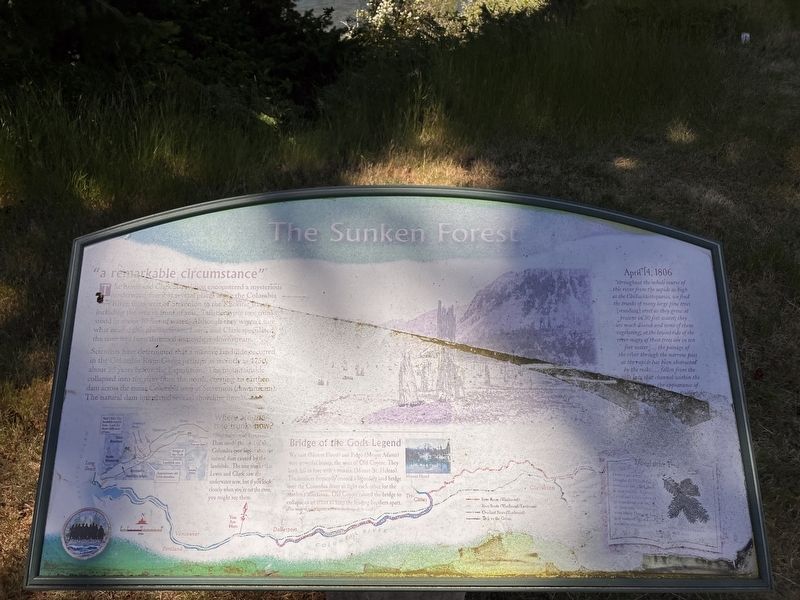 The Sunken Forest Marker image. Click for full size.