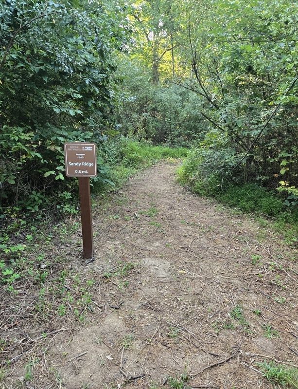 Sandy Ridge Trail Sign. Click for full size. Sandy Ridge Trail Sign image. Click for full size.