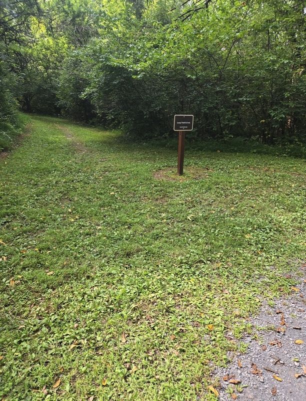 Loop Trail Sign off the Main Loop Trail. Click for full size. Loop Trail Sign off the Main Loop Trail image. Click for full size.