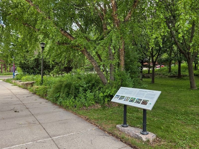 Beating Back Pests and Diversifying Tree Populations Marker east of Eagle Parkway. Click for full size. Beating Back Pests and Diversifying Tree Populations Marker east of Eagle Parkway image. Click for full size.