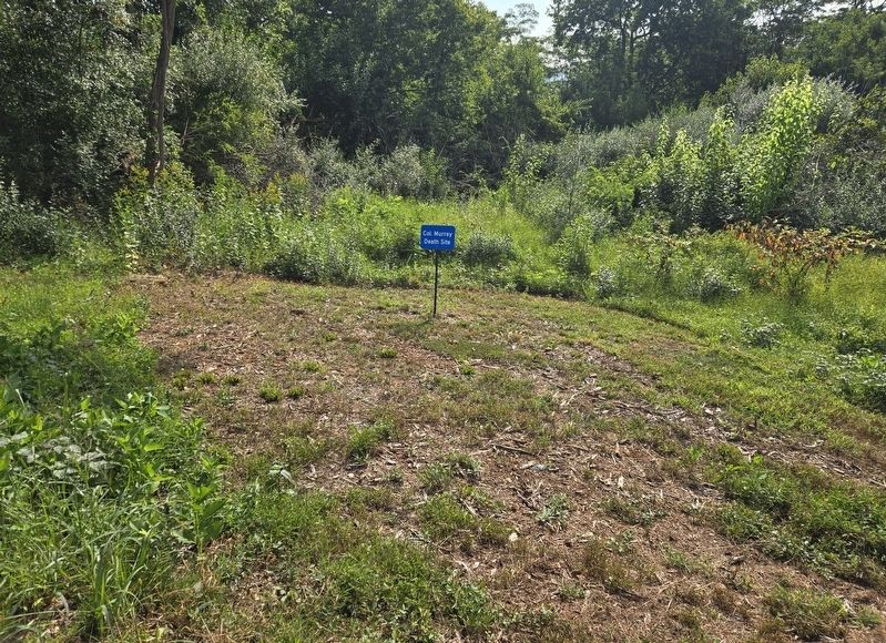 Col. Murray Death Site Marker. Click for full size. Col. Murray Death Site Marker image. Click for full size.