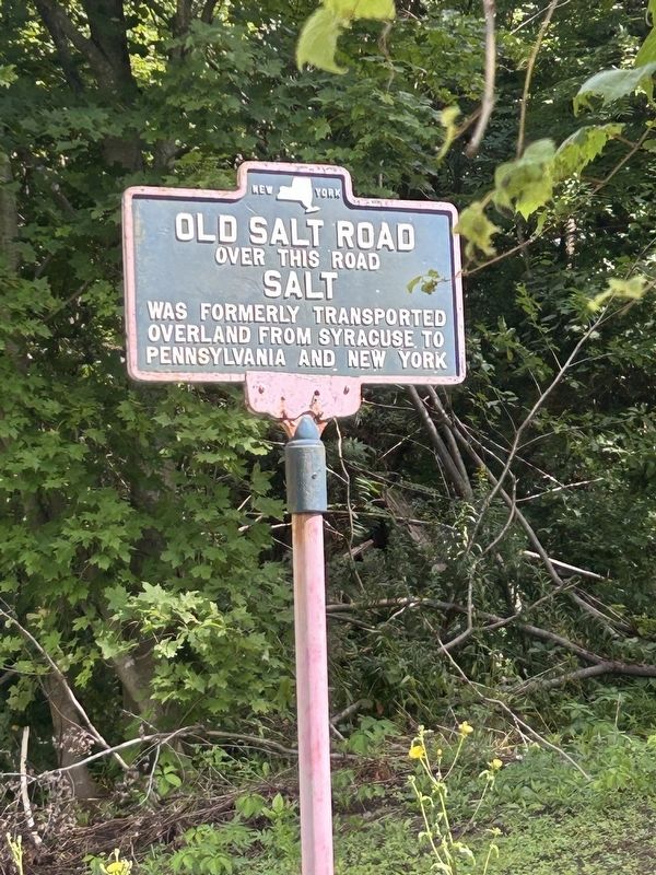Old Salt Road Marker. Click for full size. Old Salt Road Marker image. Click for full size.