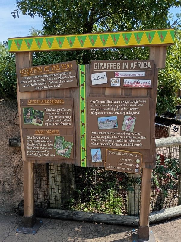 Giraffes At The Zoo Marker. Click for full size. Giraffes At The Zoo Marker image. Click for full size.