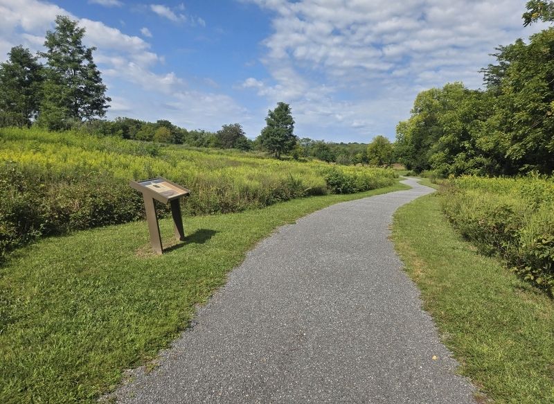 The Advance of Tyler's Brigade Marker. Click for full size. The Advance of Tyler's Brigade Marker image. Click for full size.