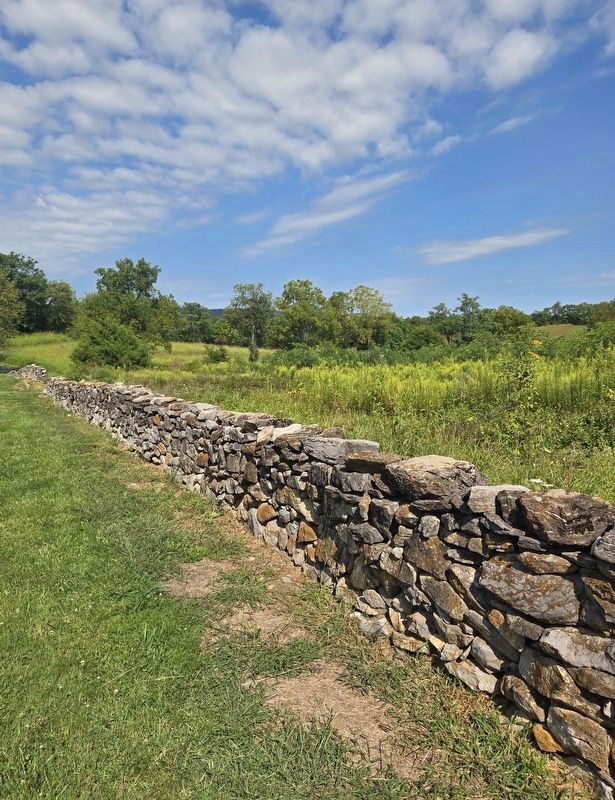 Reconstructed Stone Wall. Click for full size. Reconstructed Stone Wall image. Click for full size.