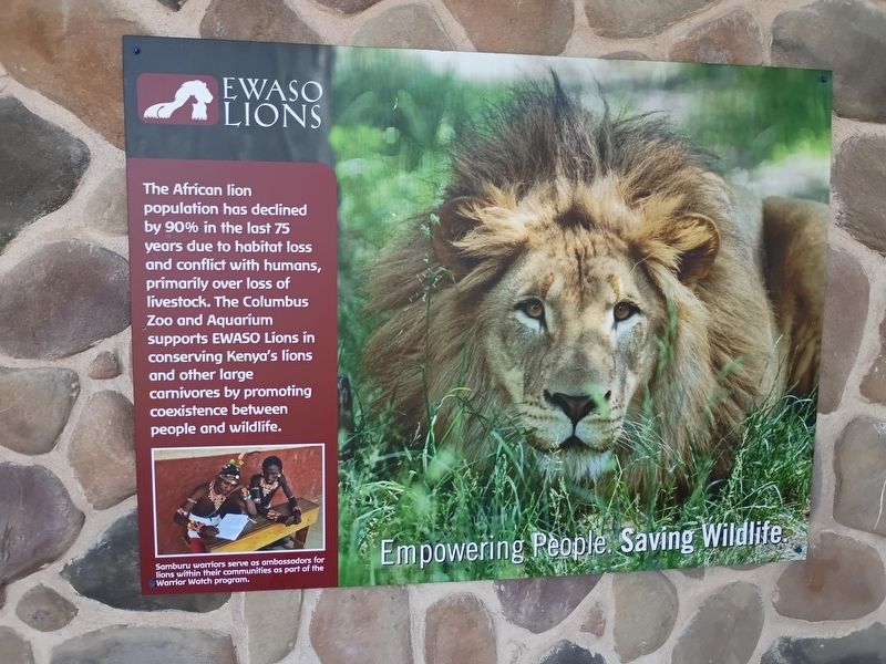 Ewaso Lions Marker. Click for full size. Ewaso Lions Marker image. Click for full size.