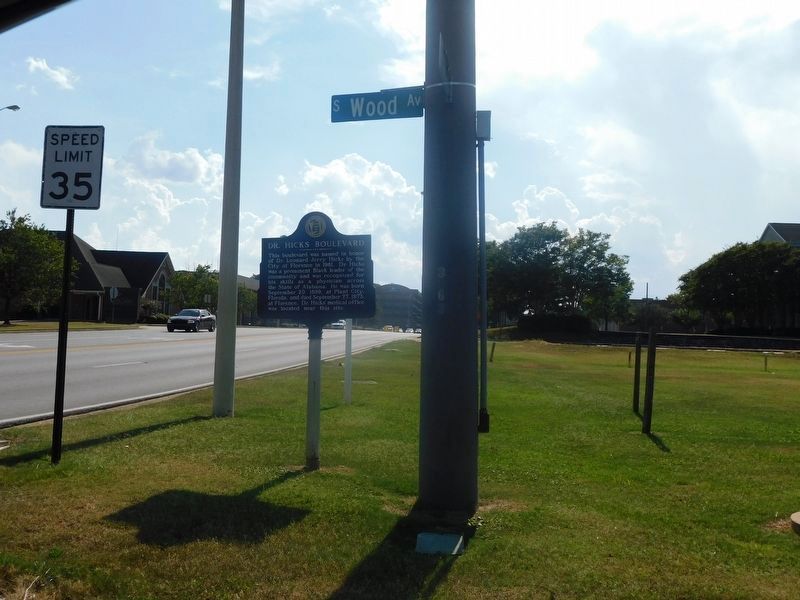 Dr. Hicks Boulevard Marker. Click for full size. Dr. Hicks Boulevard Marker image. Click for full size.