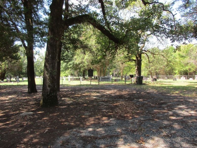 Black Jack Cemetery and marker. Click for full size. Black Jack Cemetery and marker image. Click for full size.