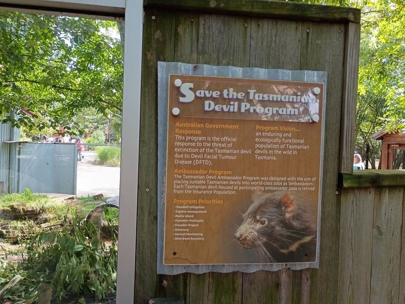 Save the Tasmanian Devil Program Marker. Click for full size. Save the Tasmanian Devil Program Marker image. Click for full size.