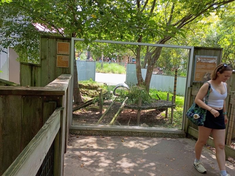Save the Tasmanian Devil Program Marker. Click for full size. Save the Tasmanian Devil Program Marker image. Click for full size.