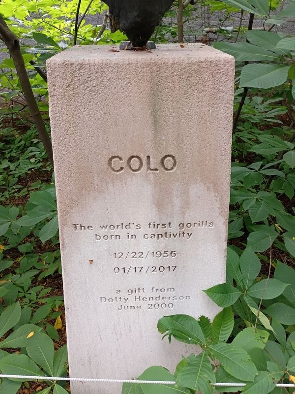 Colo Marker image. Click for full size.