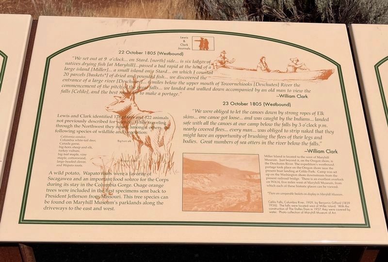 Lewis & Clark Journals Marker, Panel 2. Click for full size. Lewis & Clark Journals Marker, Panel 2 image. Click for full size.