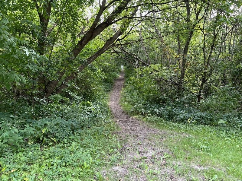 Side Trail from the South Humber Park pavilion image. Click for full size.