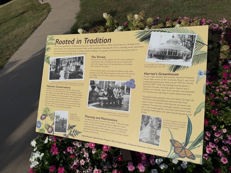 Rooted in Tradition Marker. Click for full size. Rooted in Tradition Marker image. Click for full size.