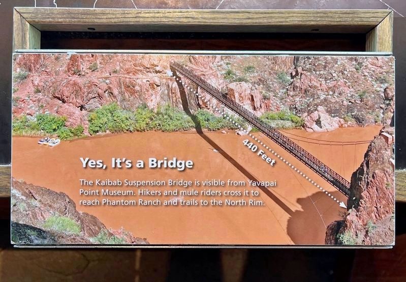 Kaibab Trail Suspension Bridge image. Click for full size.