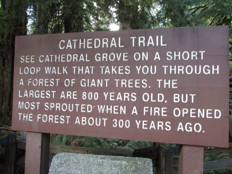 Cathedral Trail Marker. Click for full size. Cathedral Trail Marker image. Click for full size.