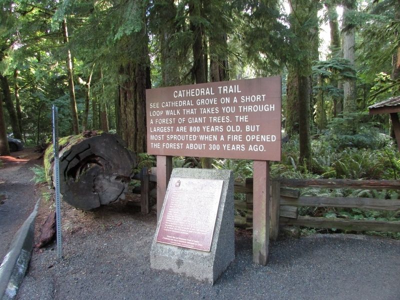 Cathedral Trail Marker. Click for full size. Cathedral Trail Marker image. Click for full size.